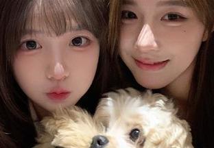 这瓜太香，155.fun的发布页真要永久给我点个赞！