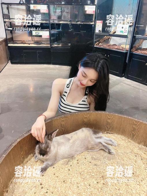 入口不明，51app让我觉得像是在迷宫里遛圈