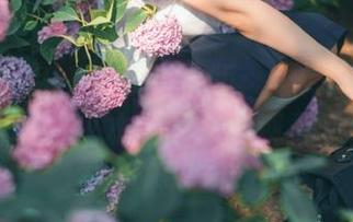 91吃瓜苹果版：不如给我一个理由，我才不想在线观看呢！