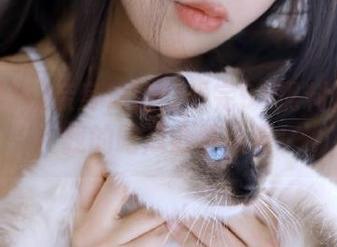 亲身体验：看完91黑料视频后，我的吃瓜心情爆棚！