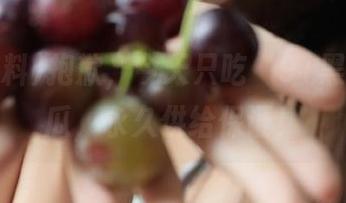 抱歉，今天只吃‘91黑料’的瓜，永久供给保证！