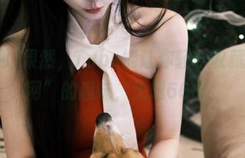 果然，Tube能让你轻松收藏“cg网”的趣味，无限666。