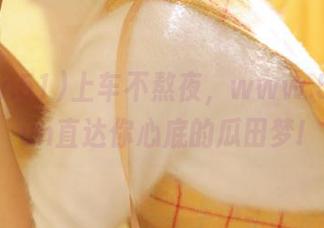 上车不熬夜，www.51cg.fun直达你心底的瓜田梦!