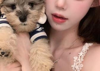 吃瓜网站的网页，不打烊？连月光都来不及回家！